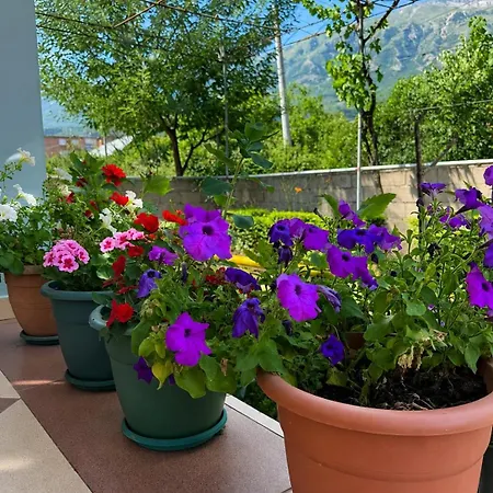 Taos *